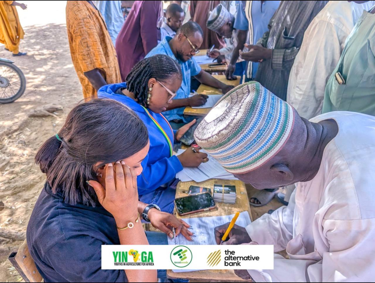 Jigawa Improved Seeds — Photo 4